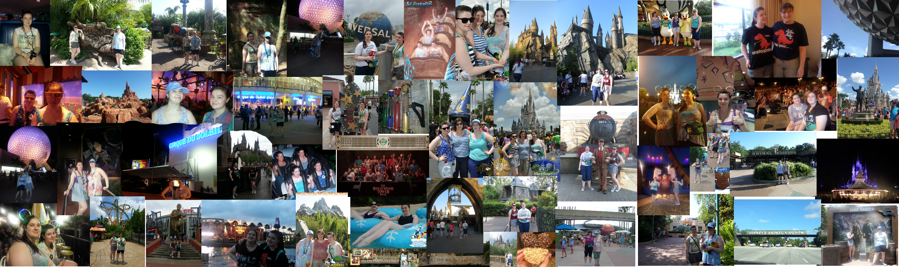 Orlando 2013 Collage