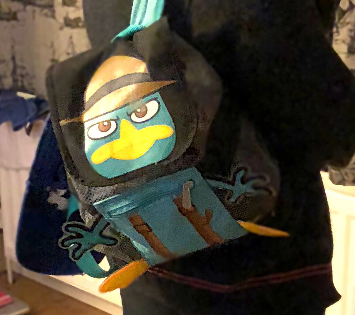 PerryBag