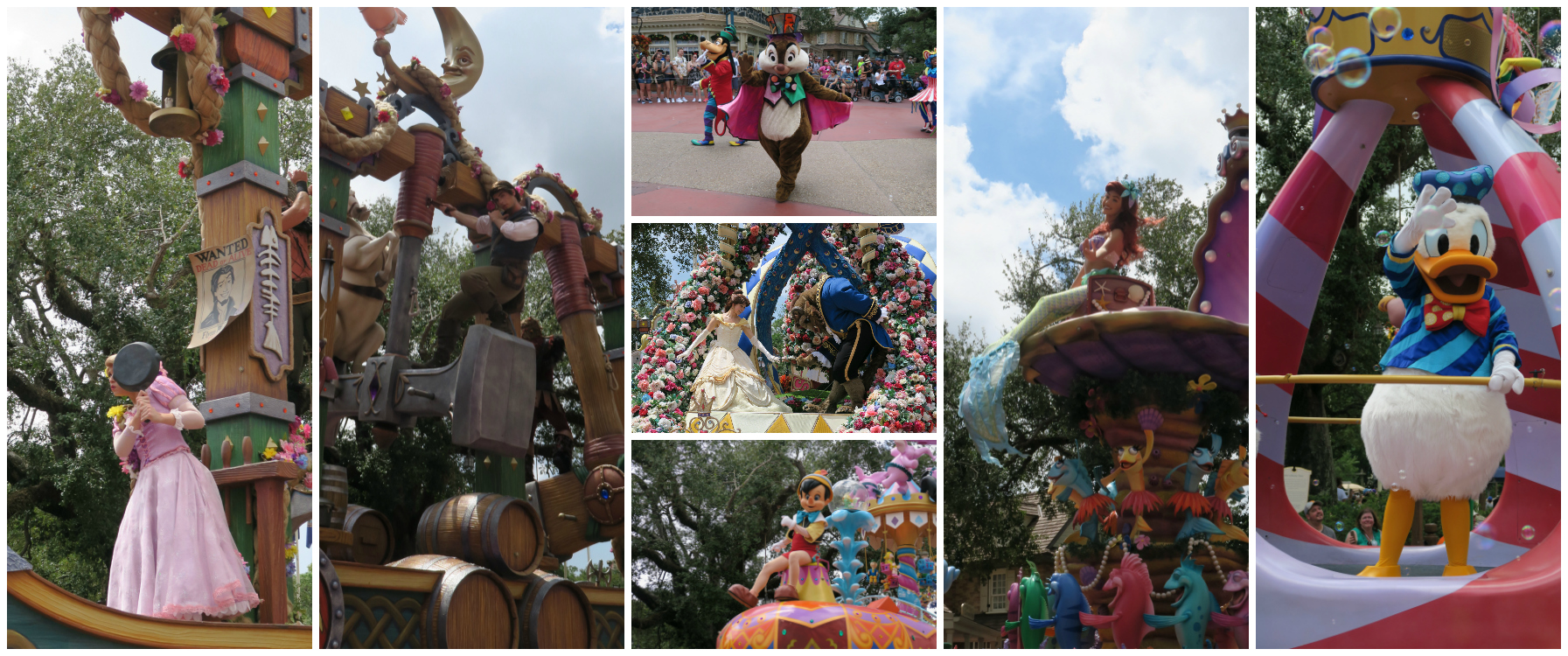 Festival Of Fantasy