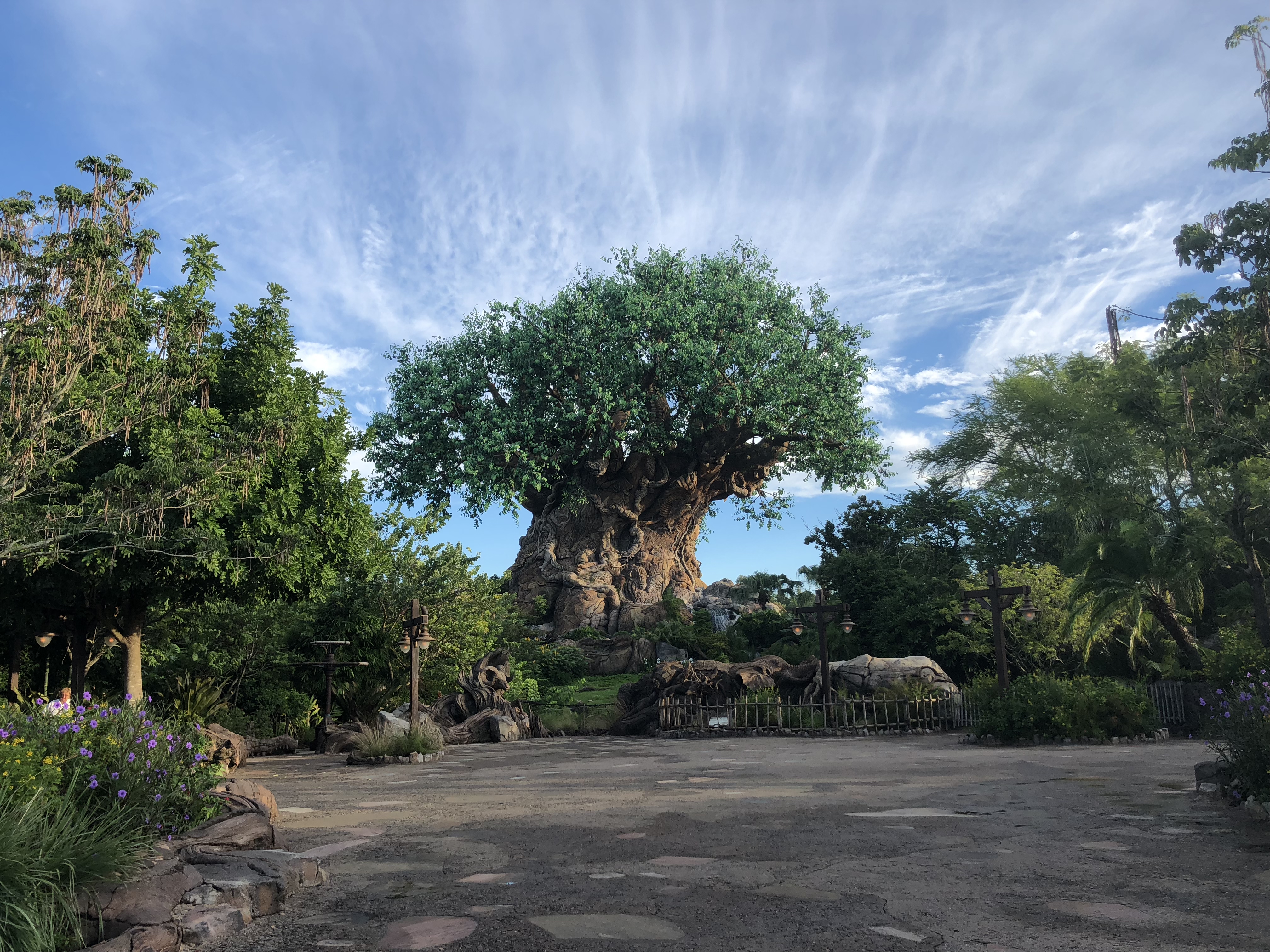 Empty Animal Kingdom 