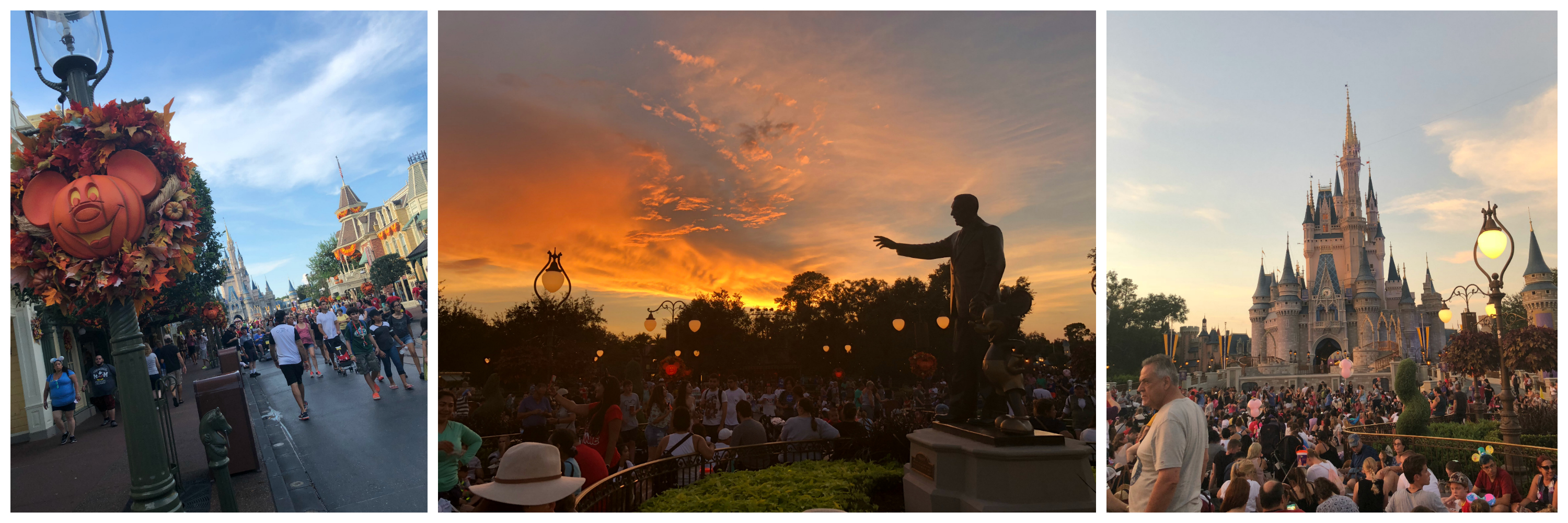 Magic Kingdom